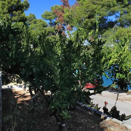 Apartament Apartments Amalija Lumbarda