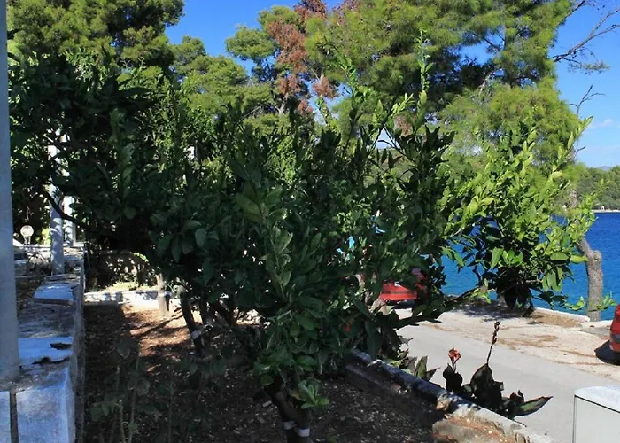 公寓 Apartments Amalija 鲁巴达